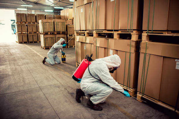 Best Affordable Pest Control Services  in Abbeville, SC