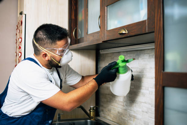 Trusted Abbeville, SC Pest Control Experts