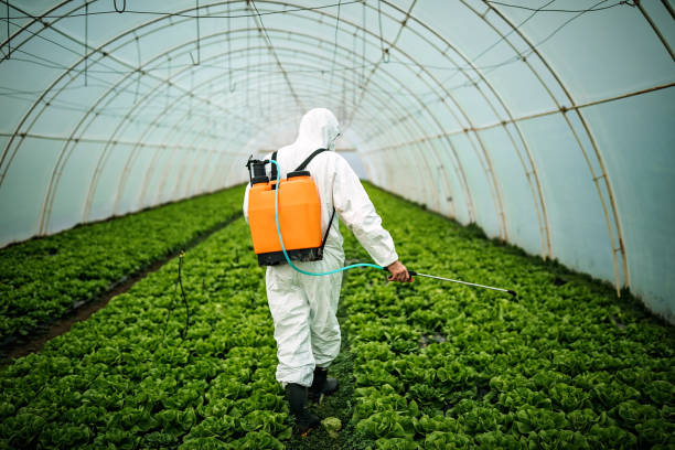 Best Affordable Pest Control Services  in Abbeville, SC