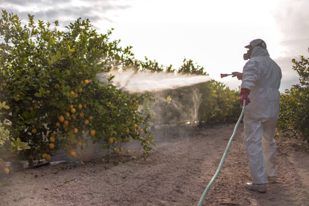 Best Mosquito Control Services  in Abbeville, SC