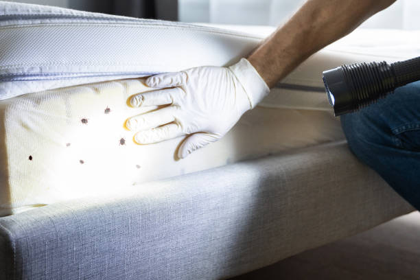 Best Pest Prevention Services  in Abbeville, SC