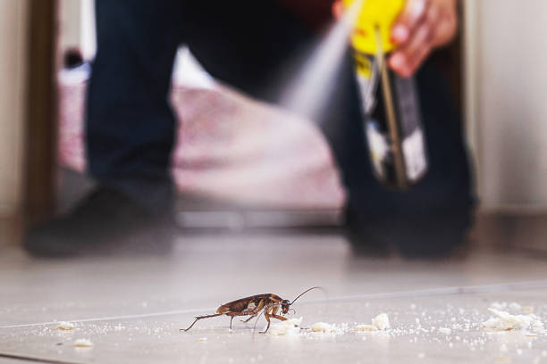 Pest Prevention Services in Abbeville, SC