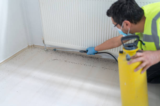 Best Ant Control Services  in Abbeville, SC