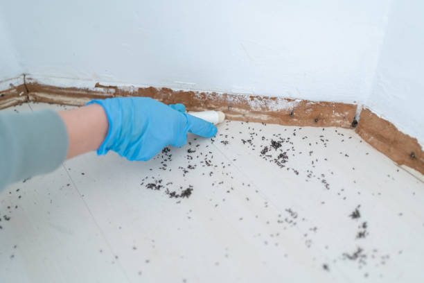 Best Wildlife Control Services  in Abbeville, SC