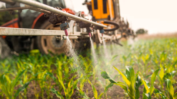 Best Pest Removal Services  in Abbeville, SC